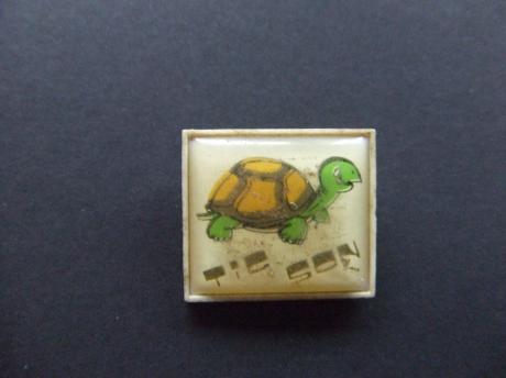 Schildpad (2)